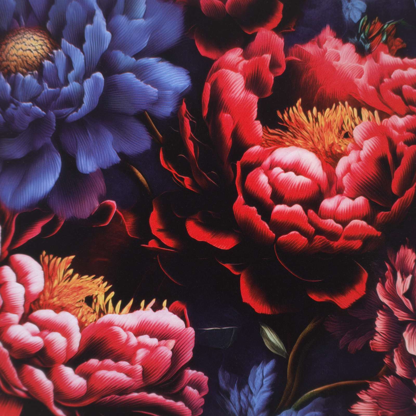Televizoriaus spintelė KIEL 69 x 33 x 50 cm Sonoma ąžuolo