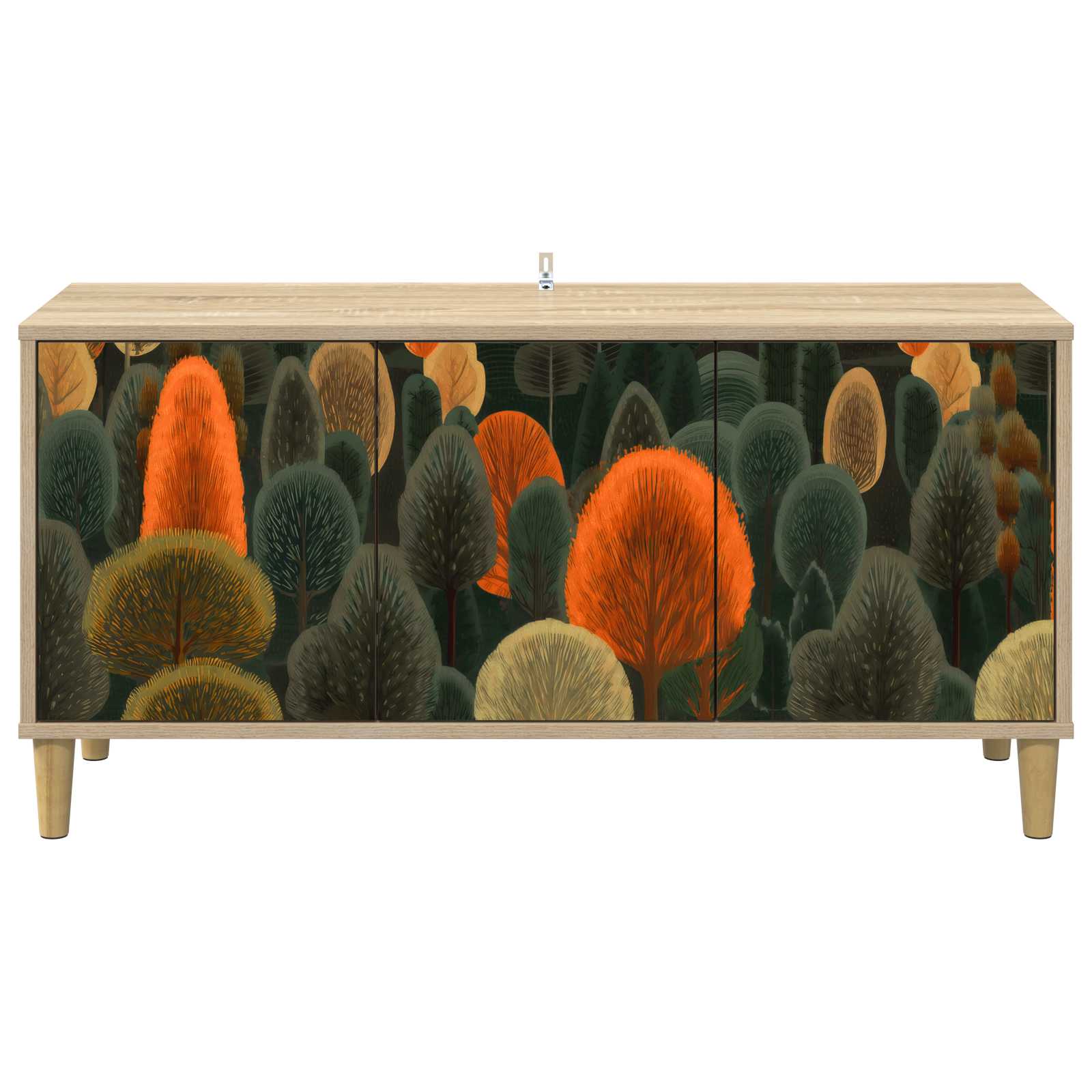 Televizoriaus spintelė ZAANDAM 102 x 33 x 50 cm Sonoma ąžuolo