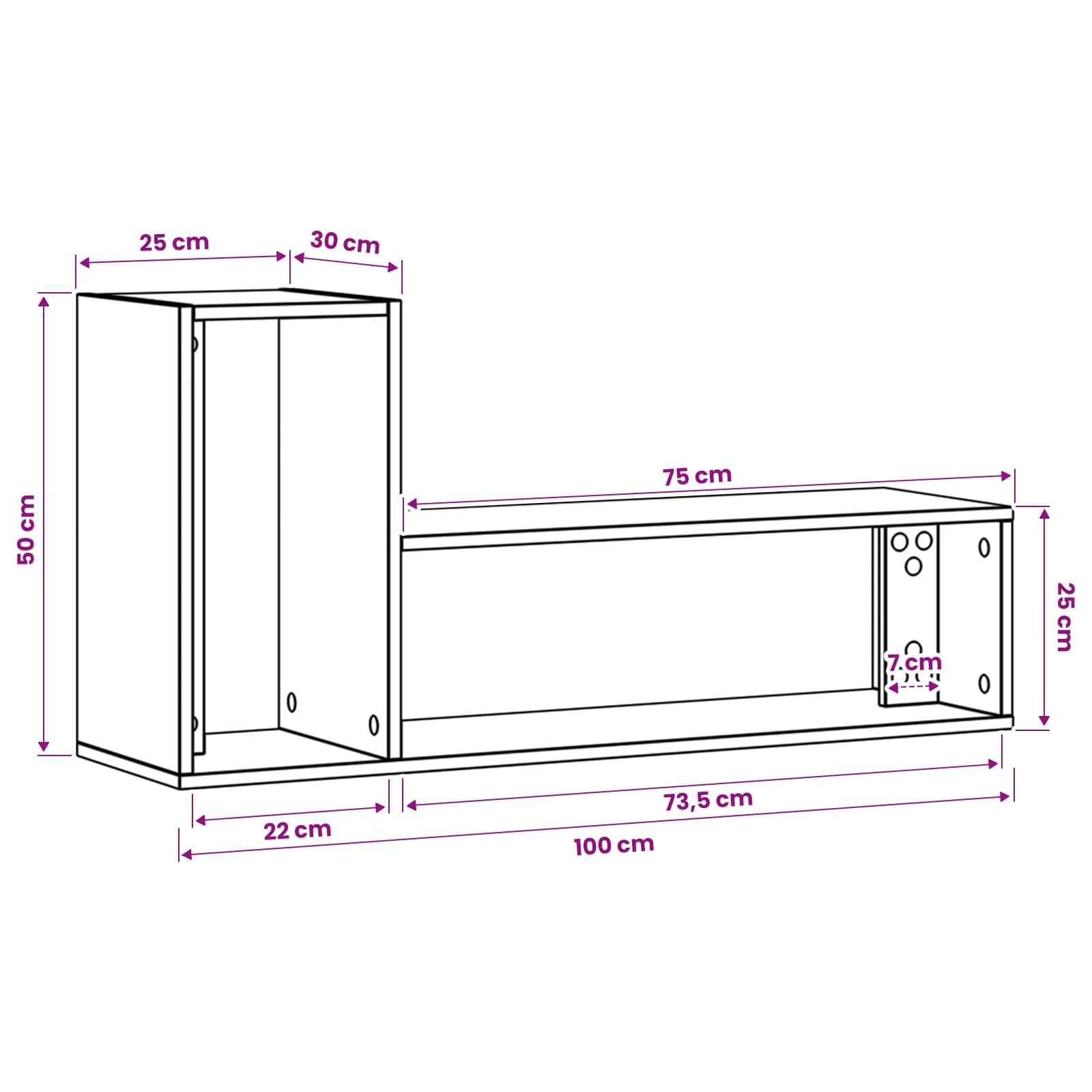 Televizoriaus spintelė 100 x 30 x 50 cm Juodojo ąžuolo