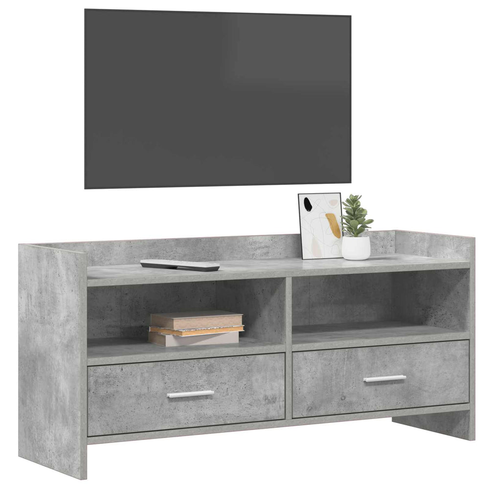 Televizoriaus spintelė 100 x 33 x 47 cm Betono pilka