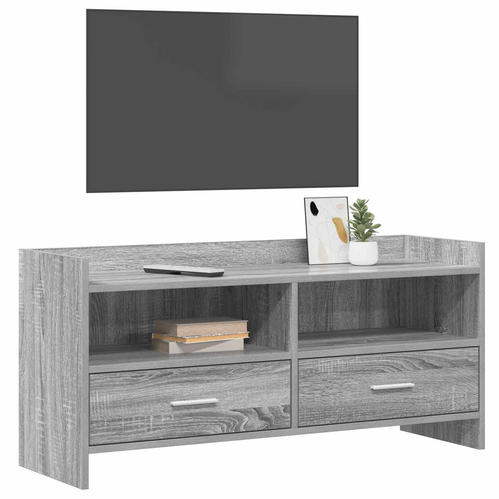 Televizoriaus spintelė 100 x 33 x 47 cm Pilka Sonoma