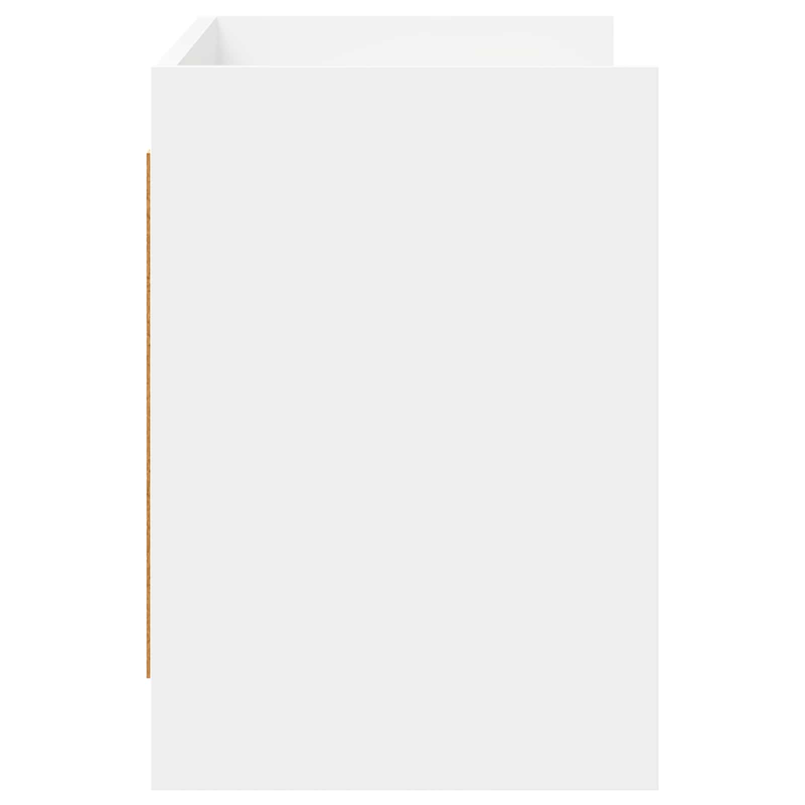 Televizoriaus spintelė 100 x 33 x 47 cm Balta Apdirbta mediena