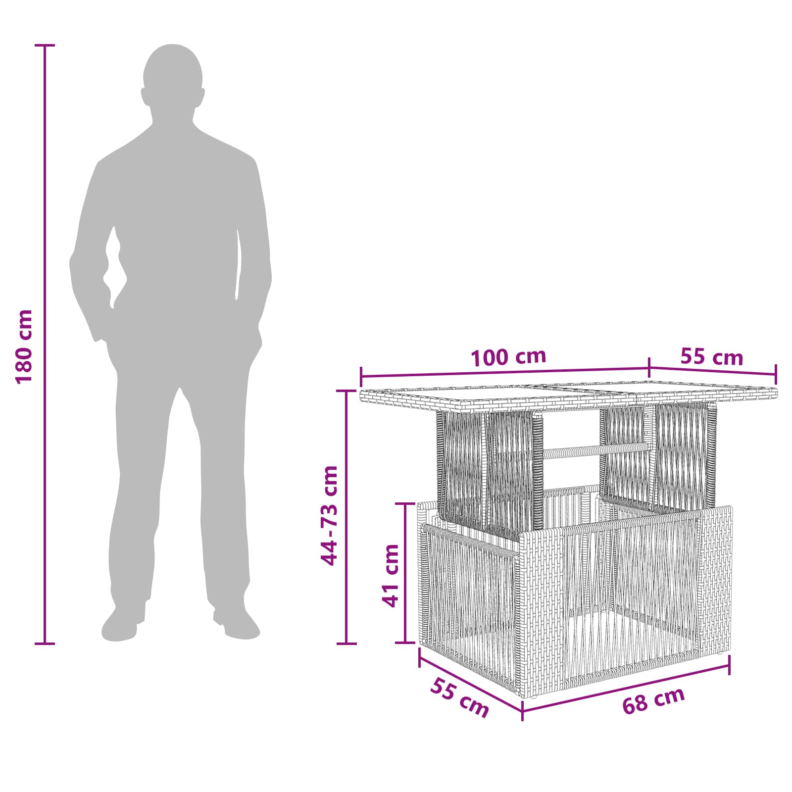 Sodo stalas Pilka 100 x 55 x 37 cm PE Rattan ir Stiklas