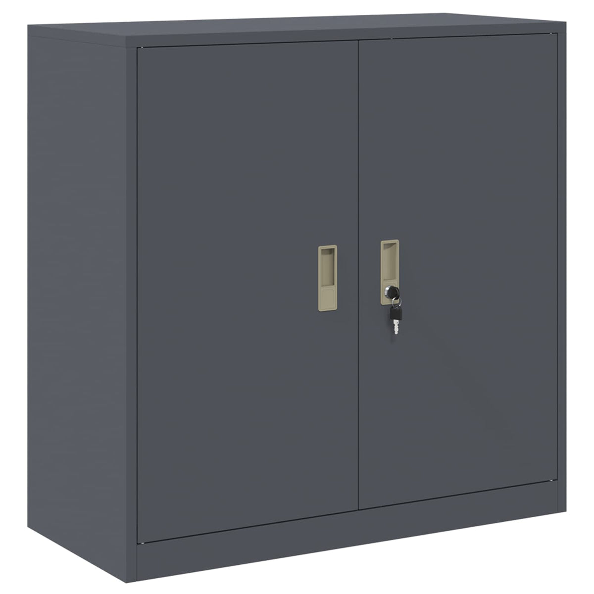Oppbevaringsskap 2 vnt. Antracitas 90 x 40 x 130 cm Plienas