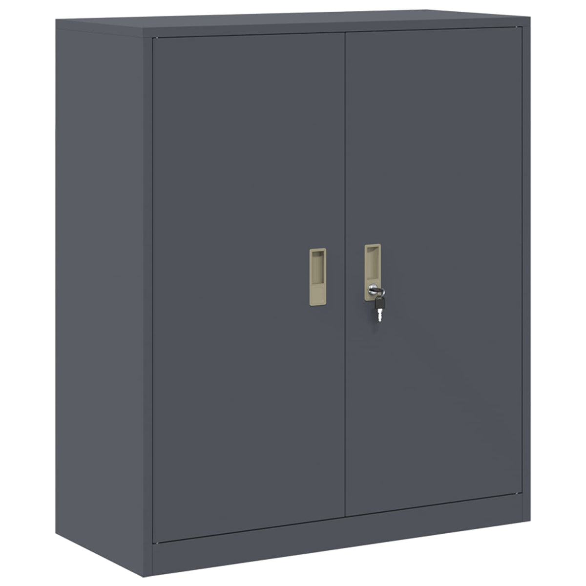 Oppbevaringsskap 2 vnt. Antracitas 90 x 40 x 145 cm Plienas