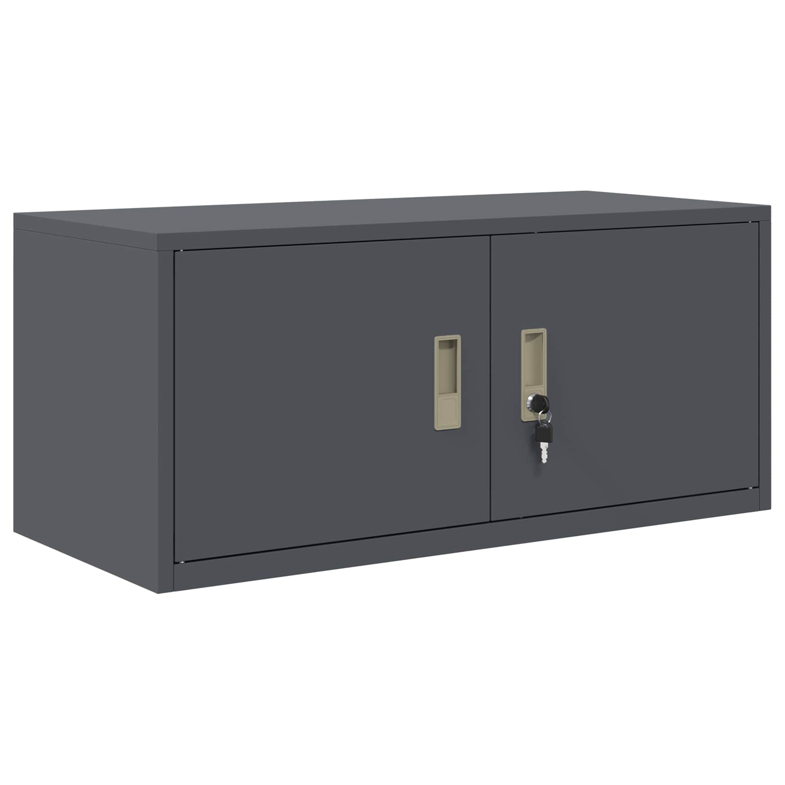 Oppbevaringsskap 2 vnt. Antracitas 90 x 40 x 180 cm Plienas