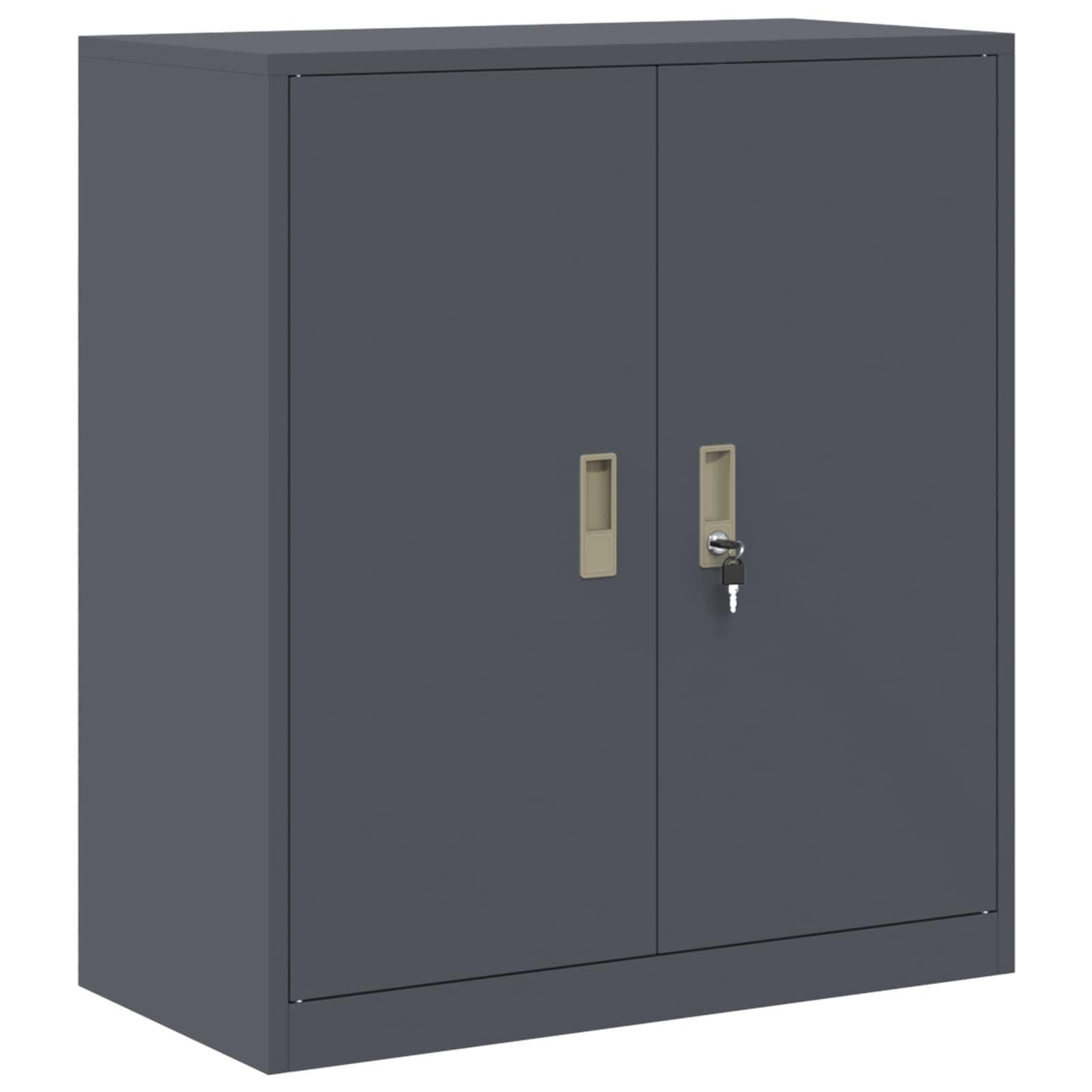Oppbevaringsskap 2 vnt. Antracitas 80 x 40 x 130 cm Plienas