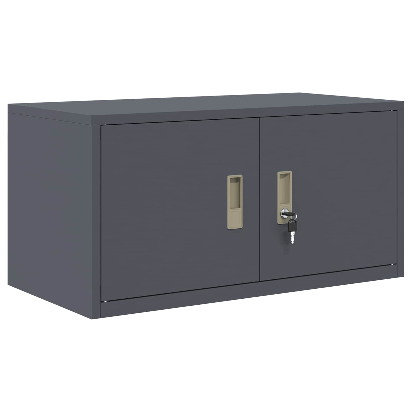 Oppbevaringsskap 2 vnt. Antracitas 80 x 40 x 130 cm Plienas