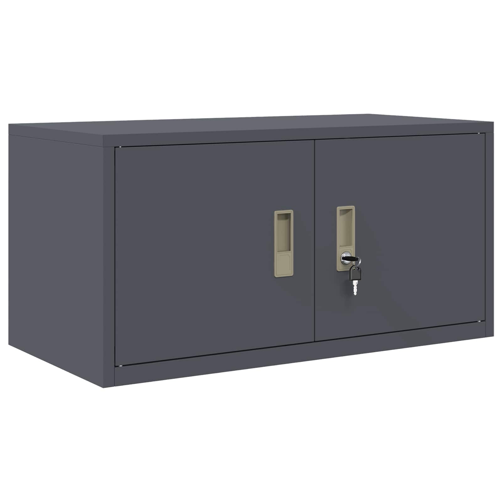Oppbevaringsskap 2 vnt. Antracitas 80 x 40 x 180 cm Plienas