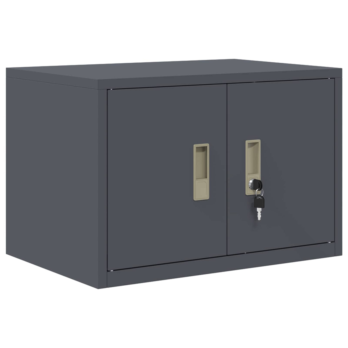 Oppbevaringsskap 2 vnt. Antracitas 60 x 40 x 220 cm Plienas