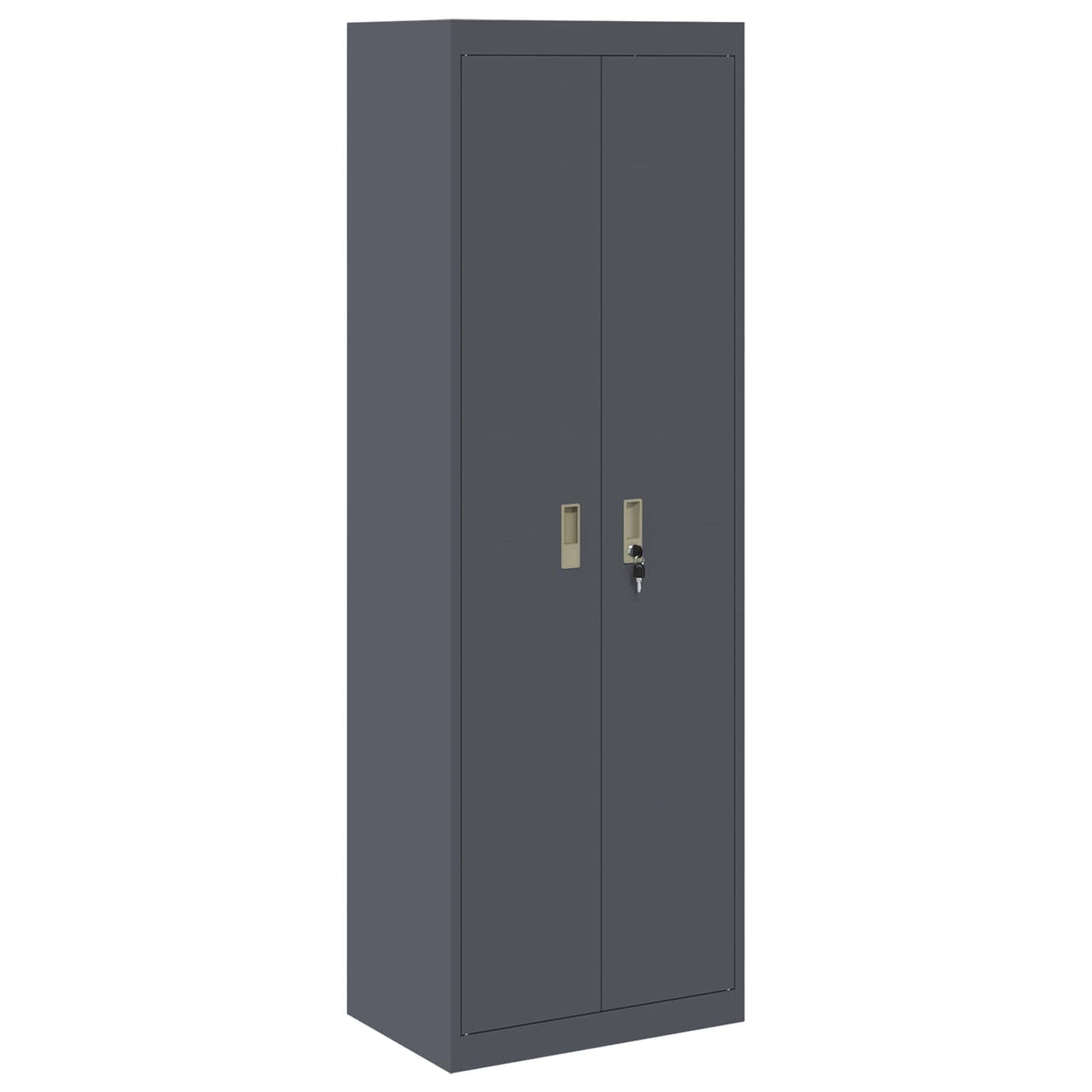 Oppbevaringsskap 2 vnt. Antracitas 60 x 40 x 220 cm Plienas