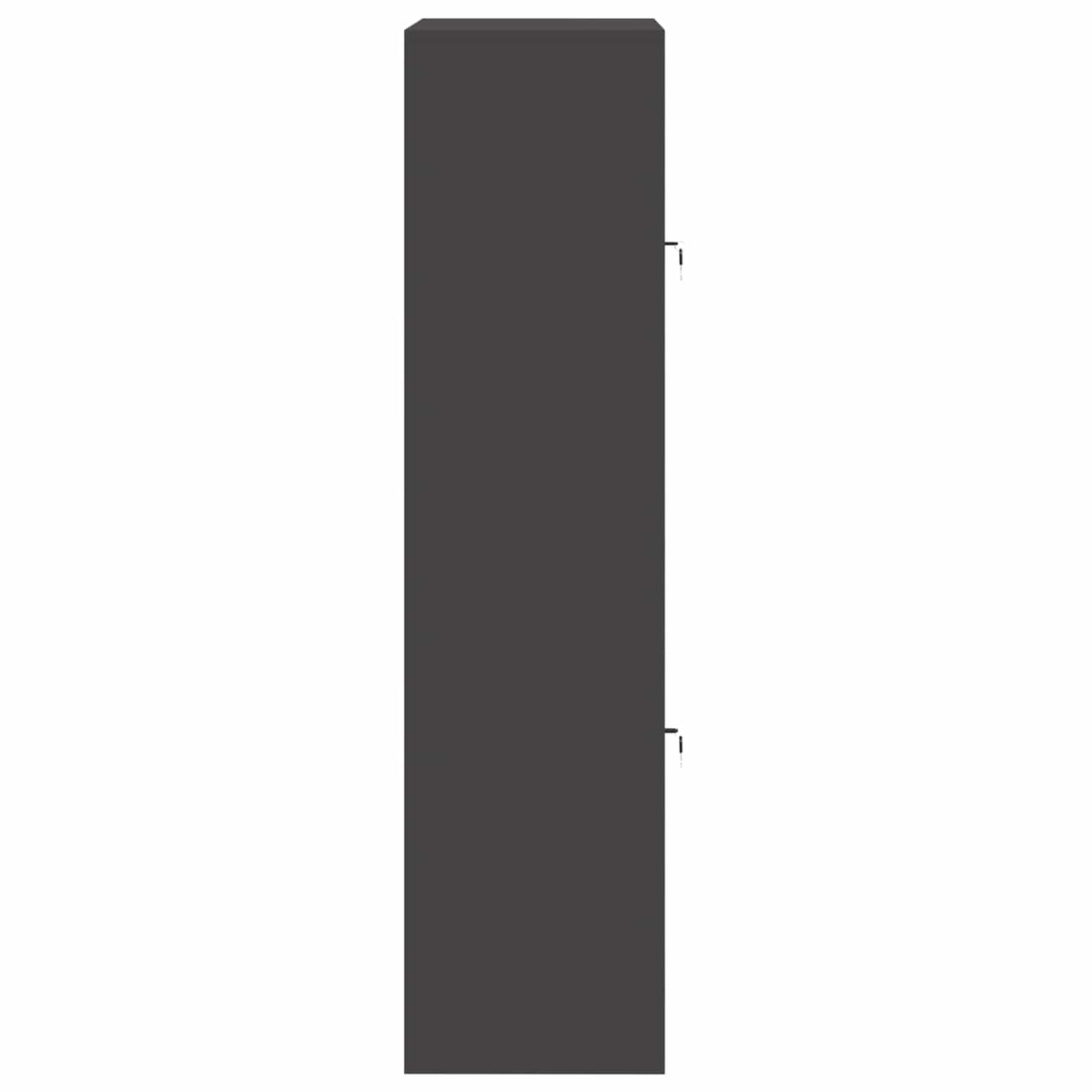 Oppbevaringsskap 2 vnt. Juoda 80 x 40 x 160 cm Plienas