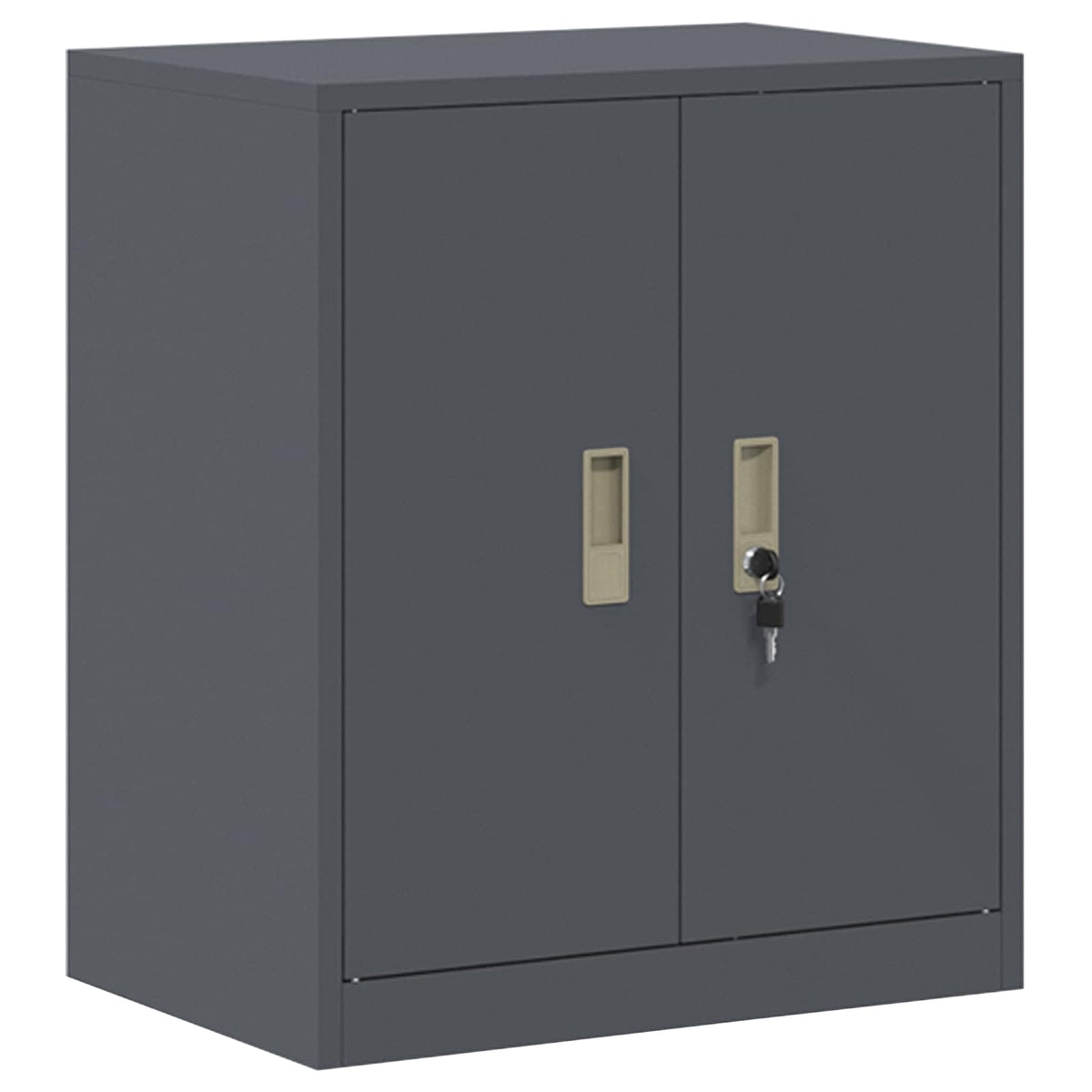 Oppbevaringsskap 2 vnt. Antracito 60 x 40 x 175 cm Plienas