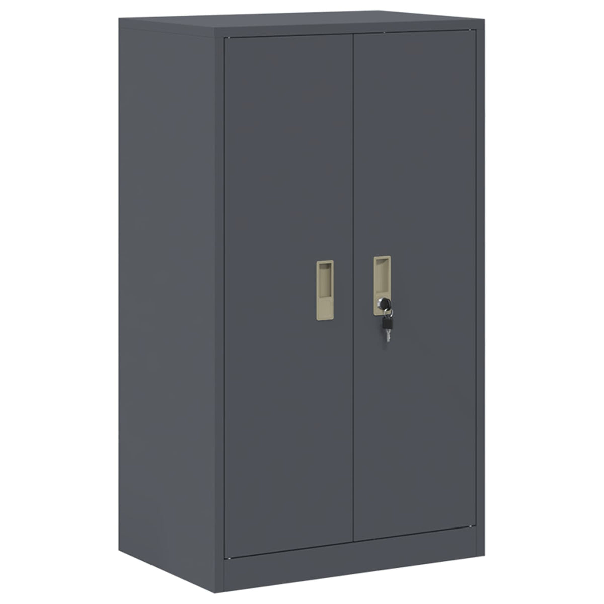 Oppbevaringsskap 2 vnt. Antracito 60 x 40 x 175 cm Plienas
