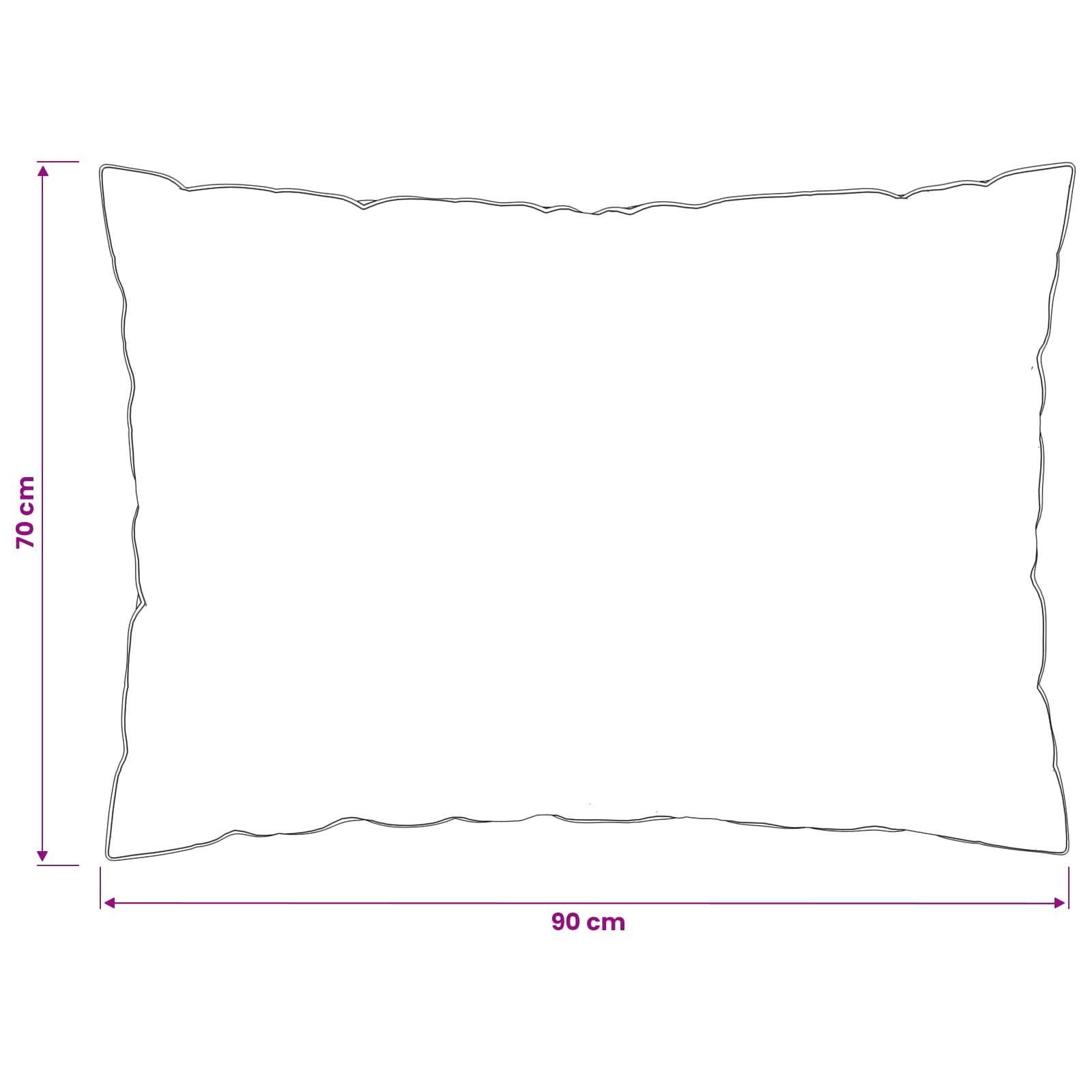 Pagalvė FULDA 2 pcs 70 x 90 cm 100% žąsų pūkai ir plunksnos