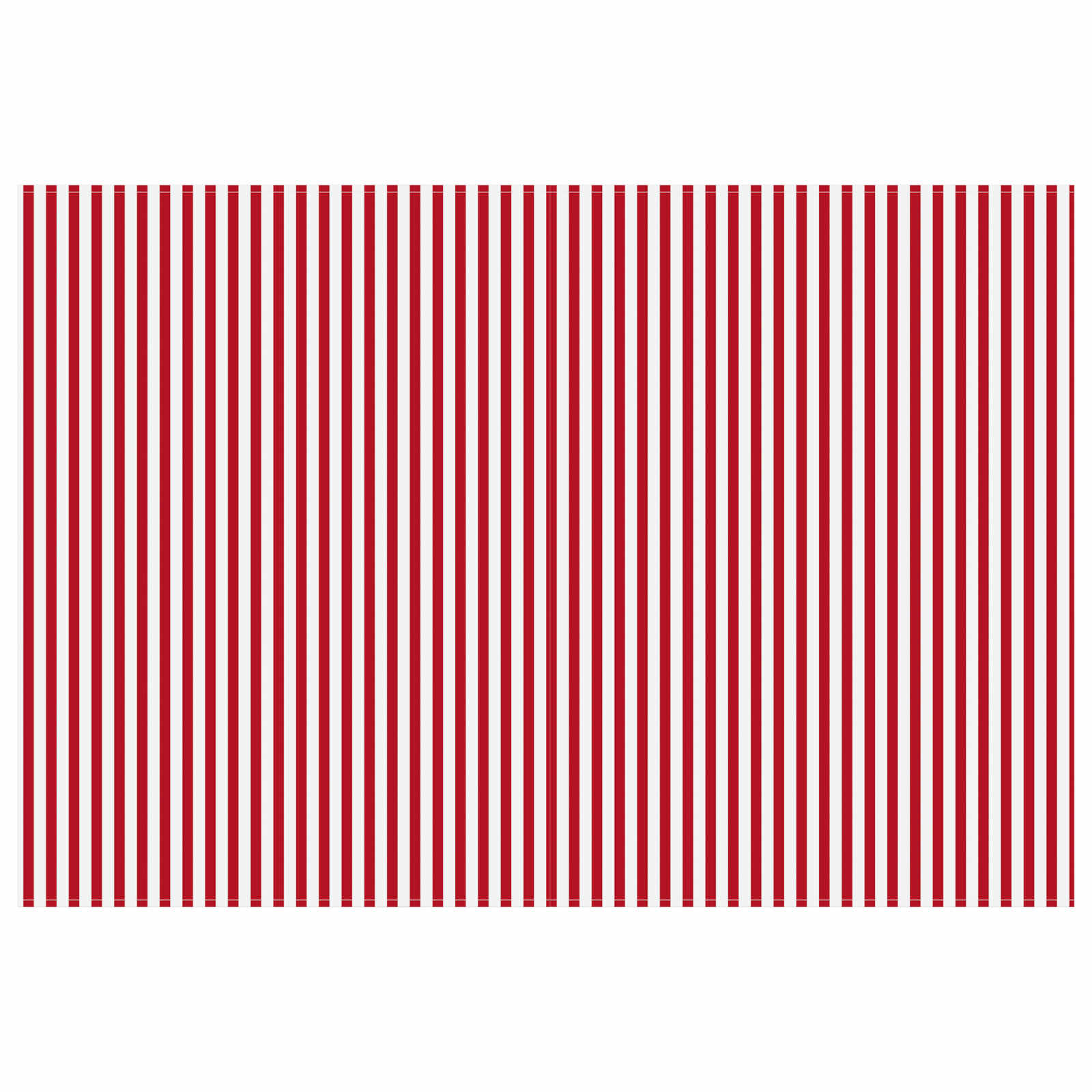 Markizės pakaitinis audinys Raudona ir balta 350 x 250 cm