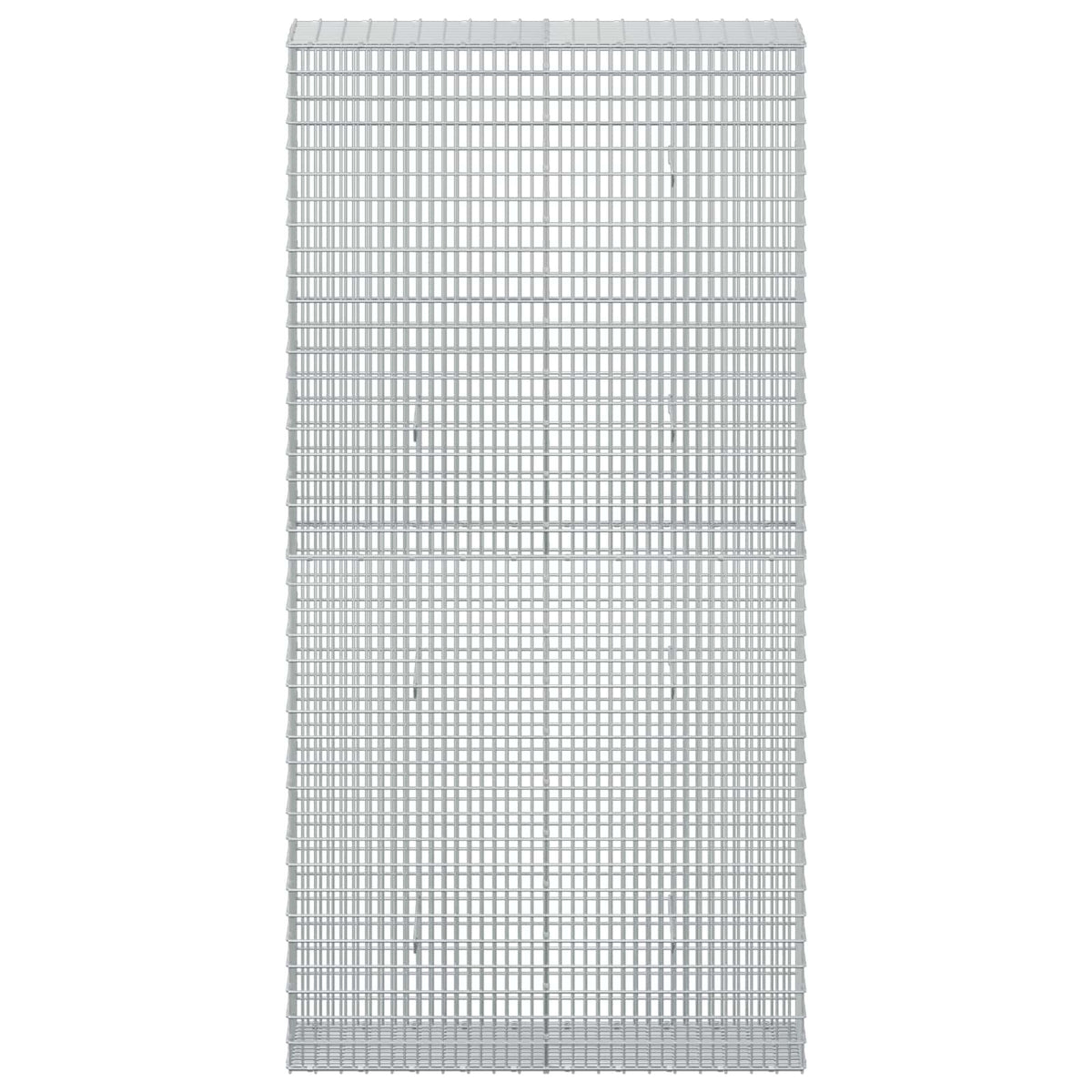Gabionas su 3,5 mm viela ir 5x2,5 cm tinkleliu 100x30x200 cm