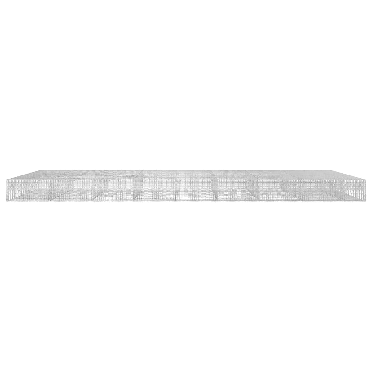 Gabionas su 3,5 mm viela ir 5x2,5 cm tinkleliu 850x100x50 cm