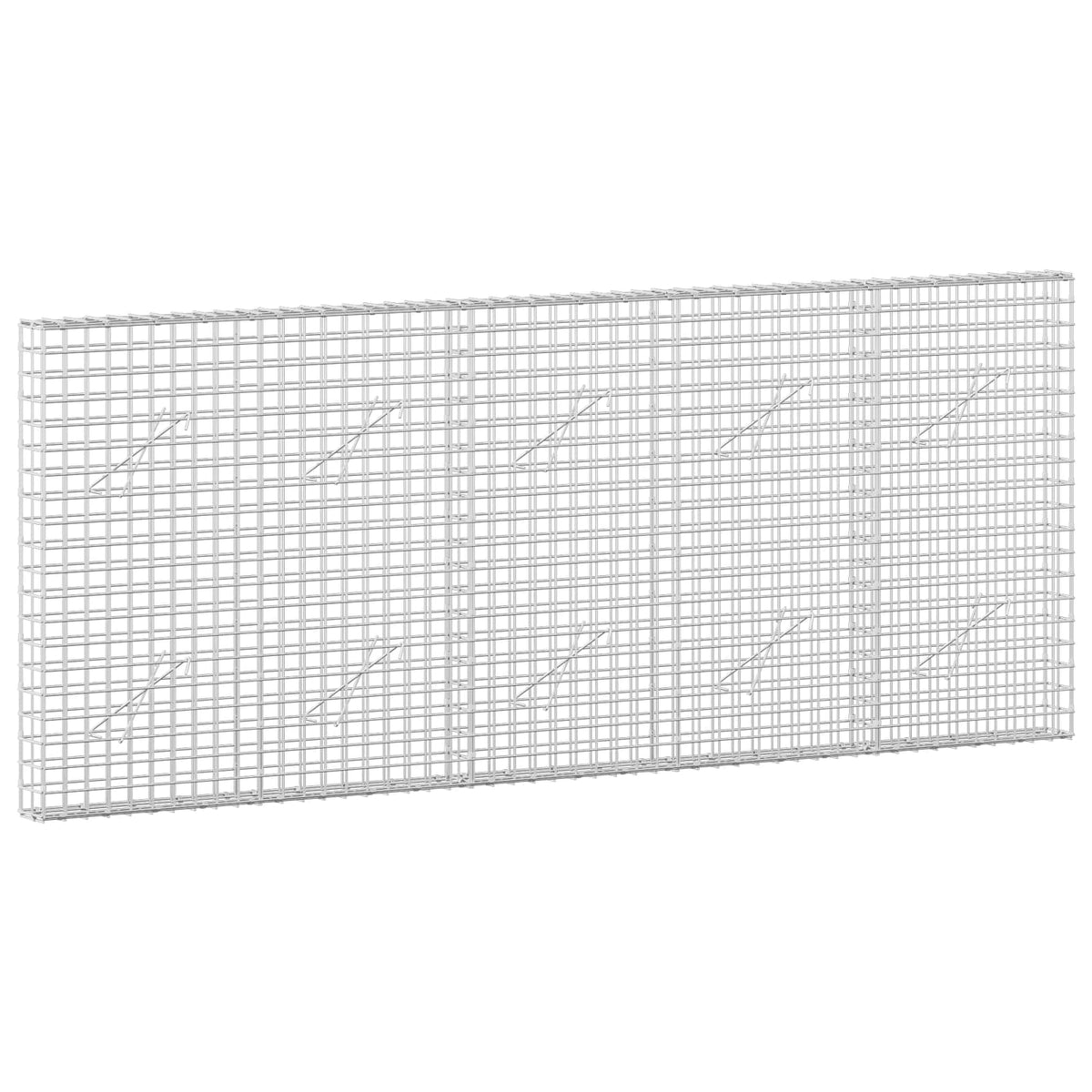 Gabionas su 3,5 mm laidu ir 5x5 cm tinkleliu 250x10x100 cm