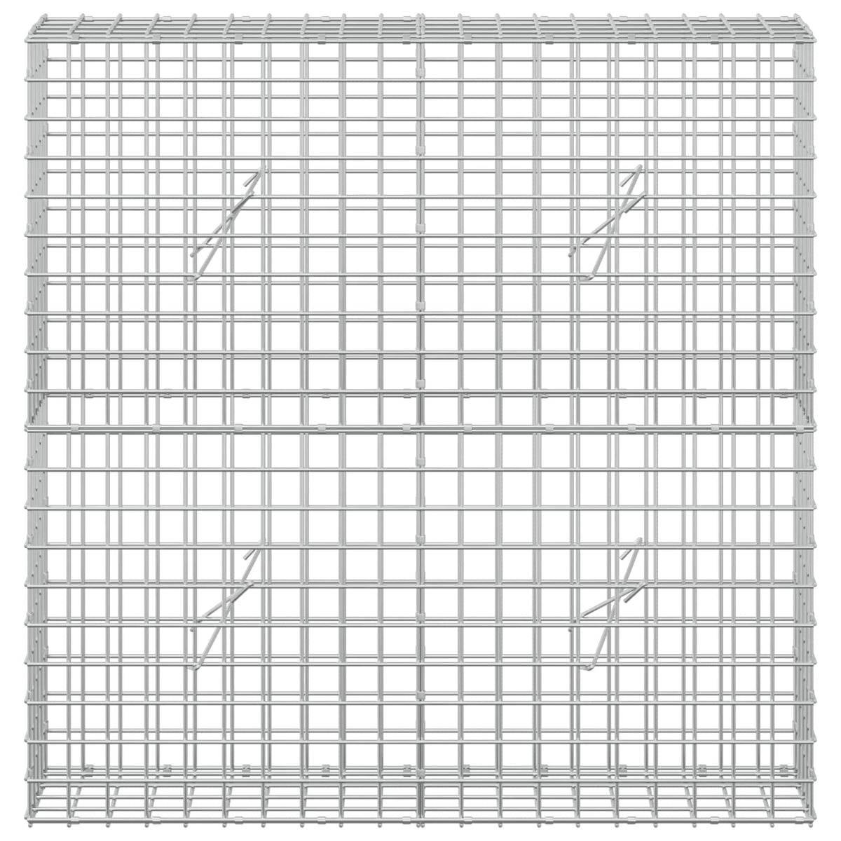 Gabionas su 3,5 mm laidu ir 5x5 cm tinkleliu 100x20x100 cm