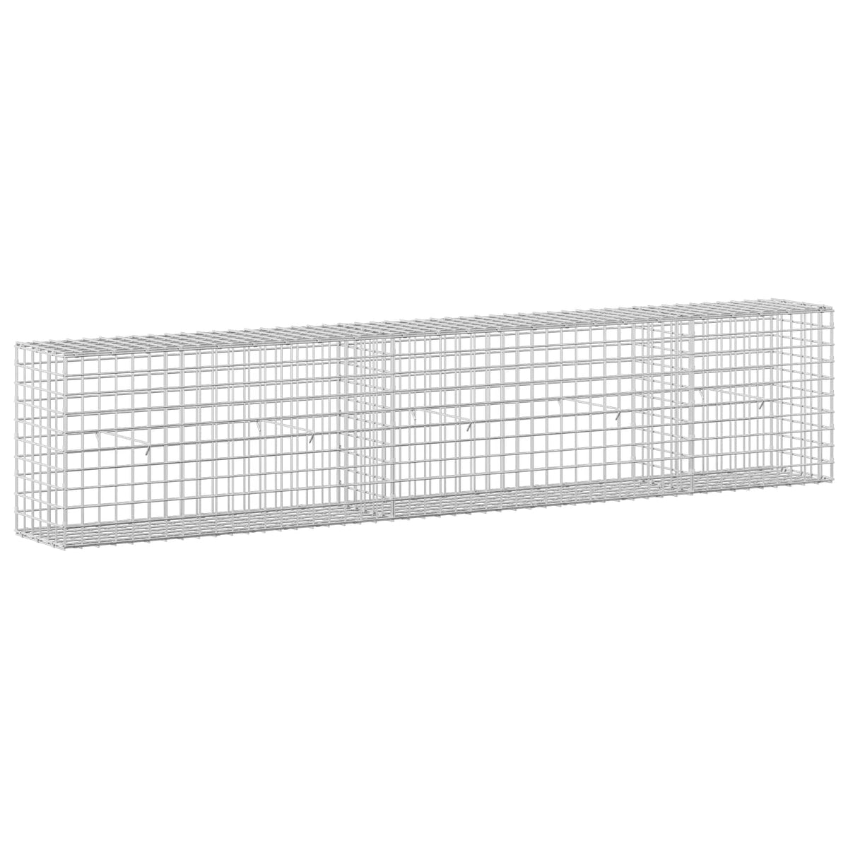Gabionas su 3,5 mm laidu ir 5x5 cm tinkleliu 250x30x50 cm