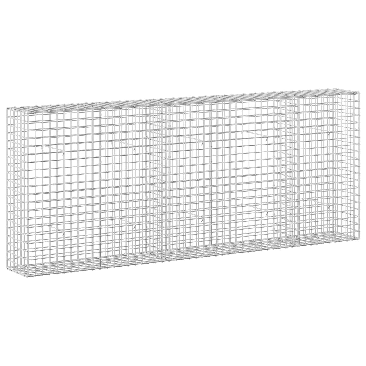 Gabionas su 3,5 mm laidu ir 5x5 cm tinkleliu 250x30x100 cm