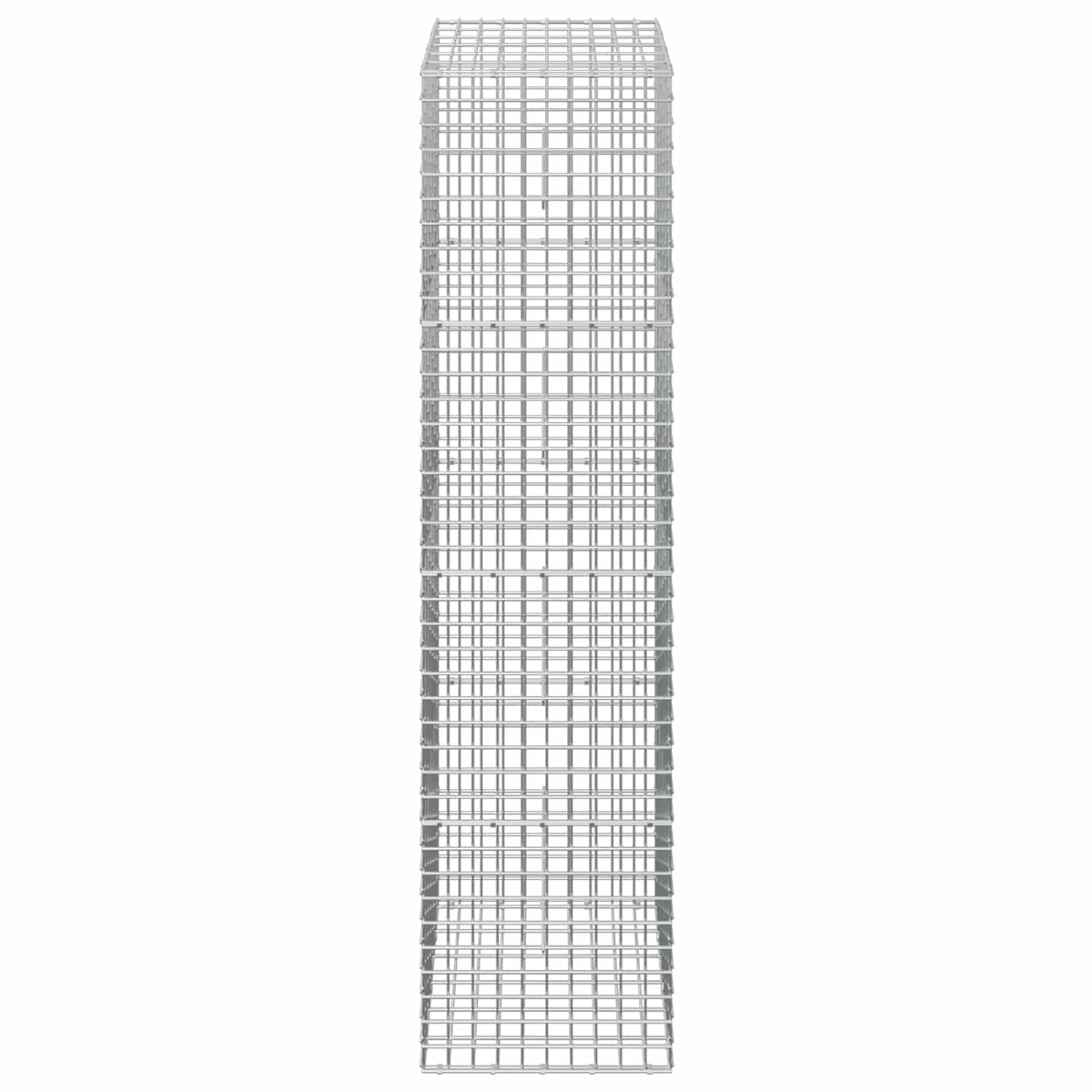 Gabionas su 3,5 mm laidu ir 5x5 cm tinkleliu 50x30x200 cm