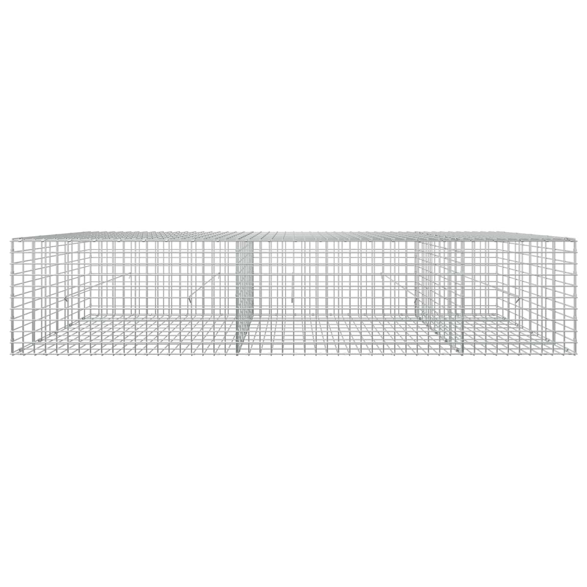 Gabionas su 3,5 mm laidu ir 5x5 cm tinkleliu 250x50x50 cm