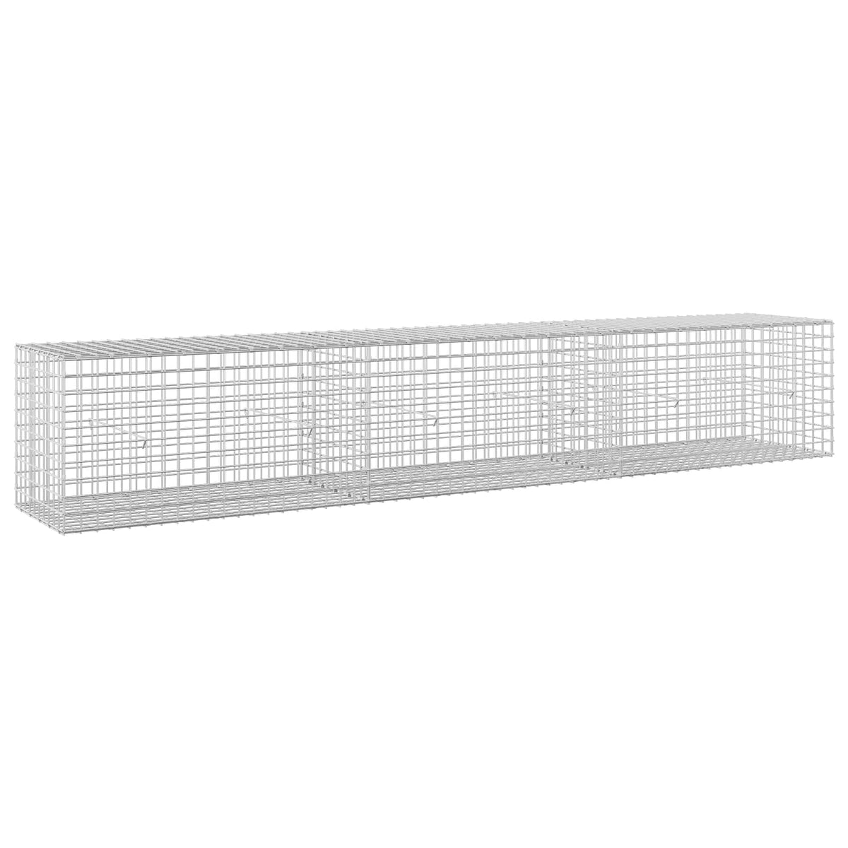 Gabionas su 3,5 mm laidu ir 5x5 cm tinkleliu 300x50x50 cm