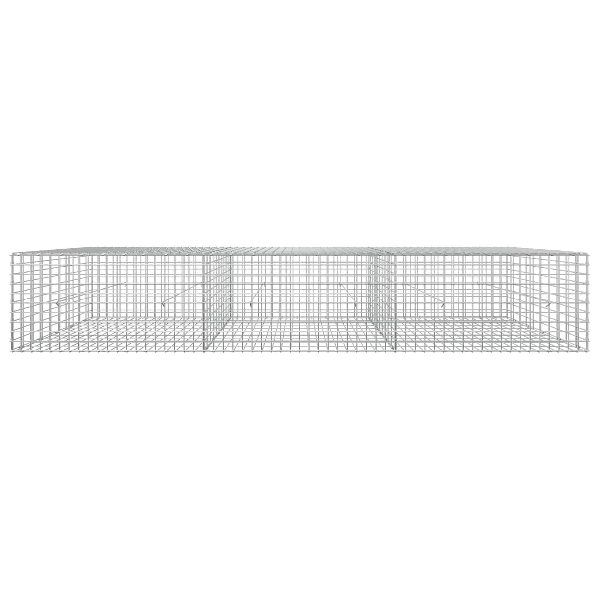 Gabionas su 3,5 mm laidu ir 5x5 cm tinkleliu 300x50x50 cm
