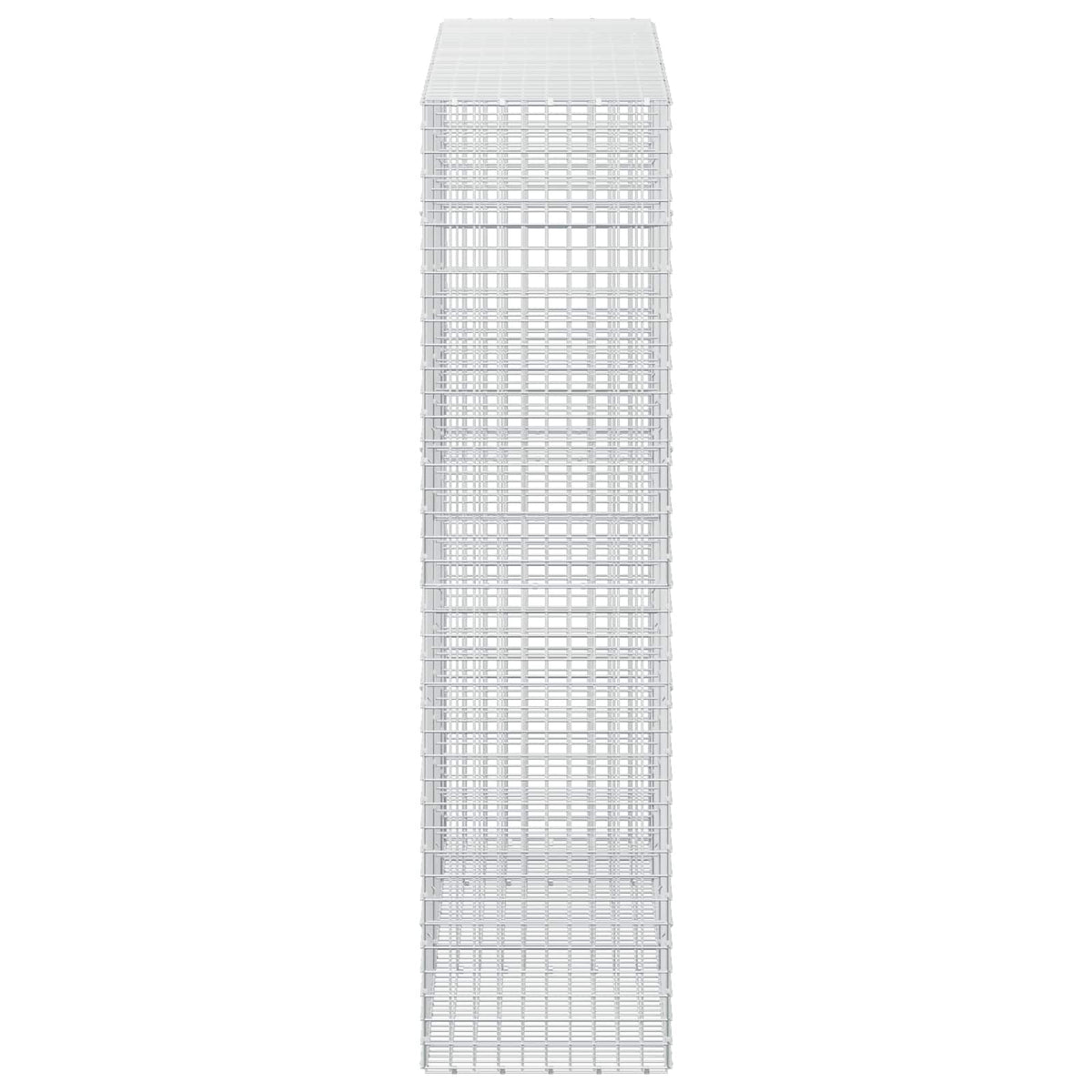 Gabionas su 3,5 mm laidu ir 5x5 cm tinkleliu 250x50x200 cm