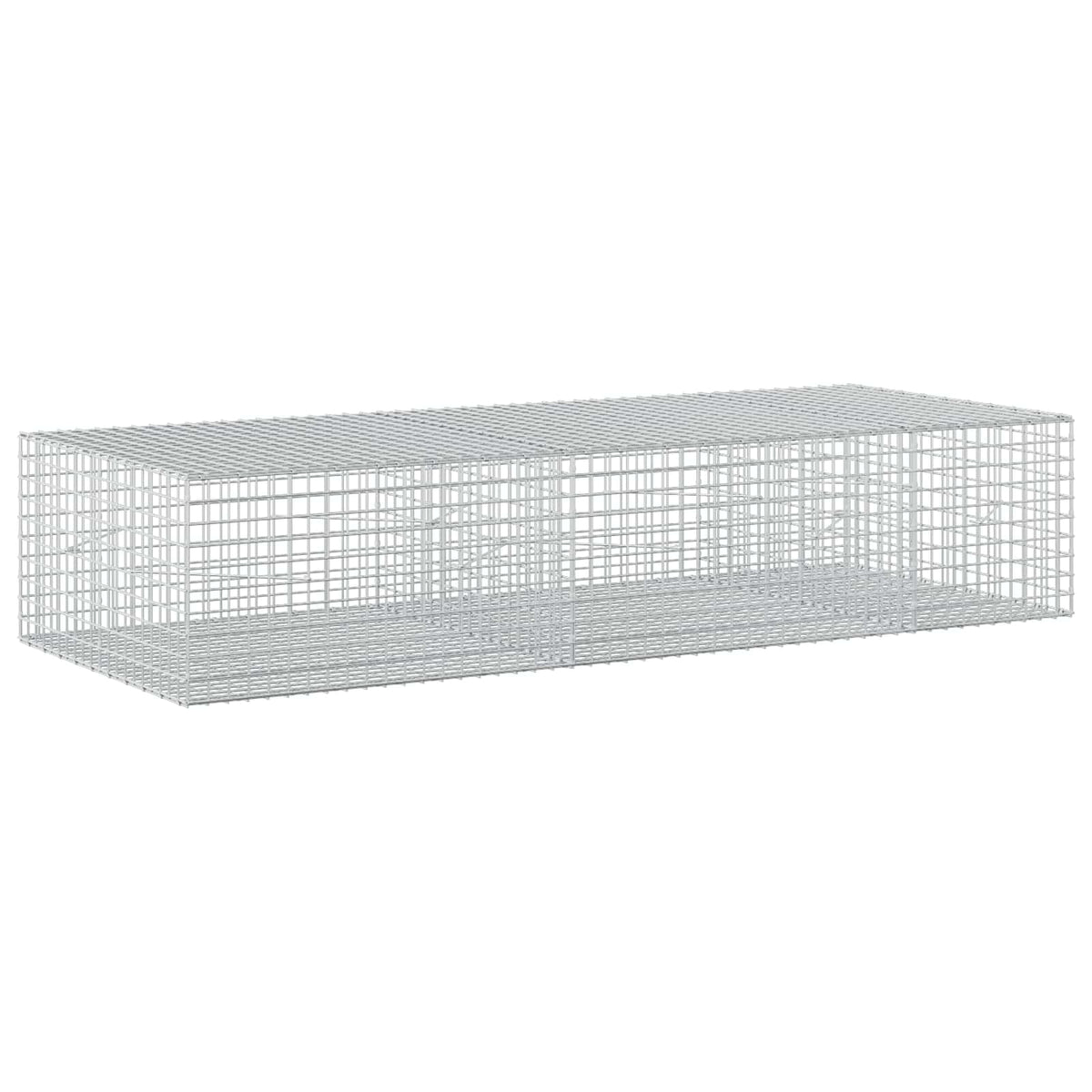 Gabionas su 3,5 mm laidu ir 5x5 cm tinkleliu 250x100x50 cm