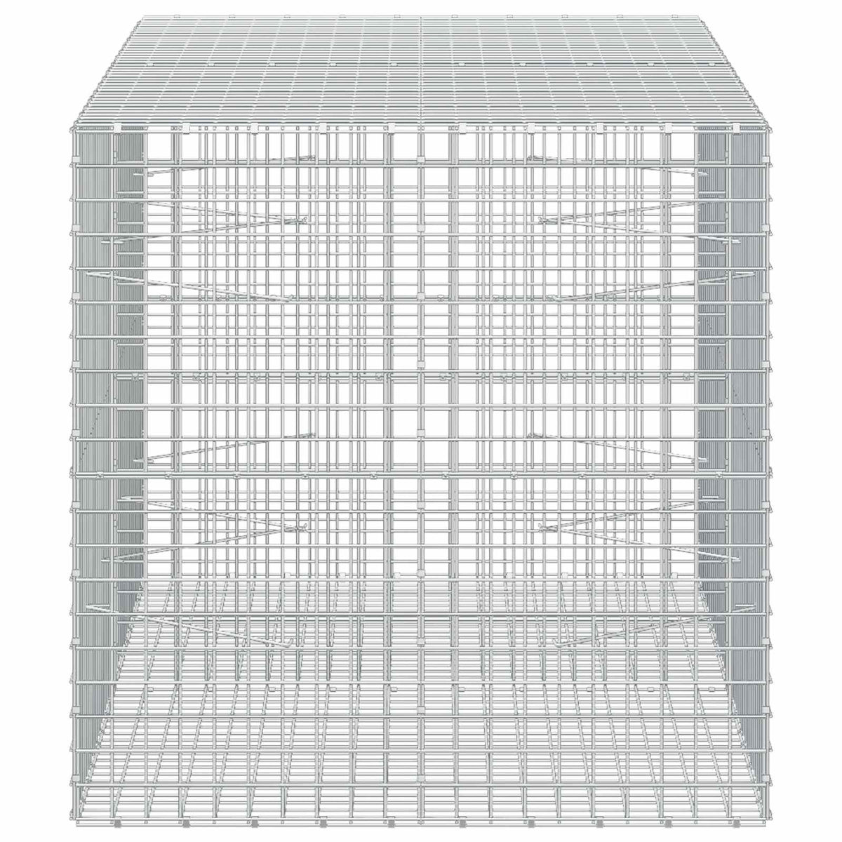Gabionas su 3,5 mm laidu ir 5x5 cm tinkleliu 200x100x100 cm