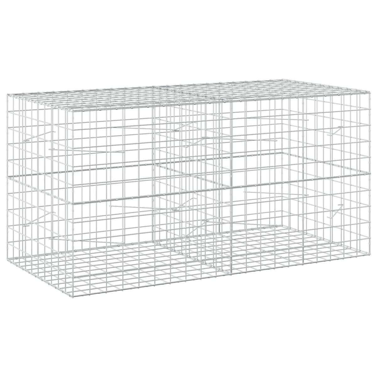 Gabionas su 3,5 mm viela ir 10x10 cm tinkleliu 200x100x100 cm