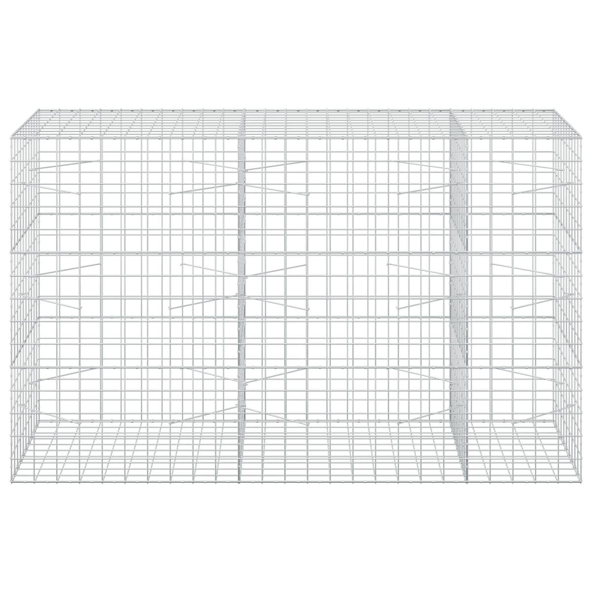 Gabionas su 3,5 mm viela ir 10x10 cm tinkleliu 250x100x150 cm
