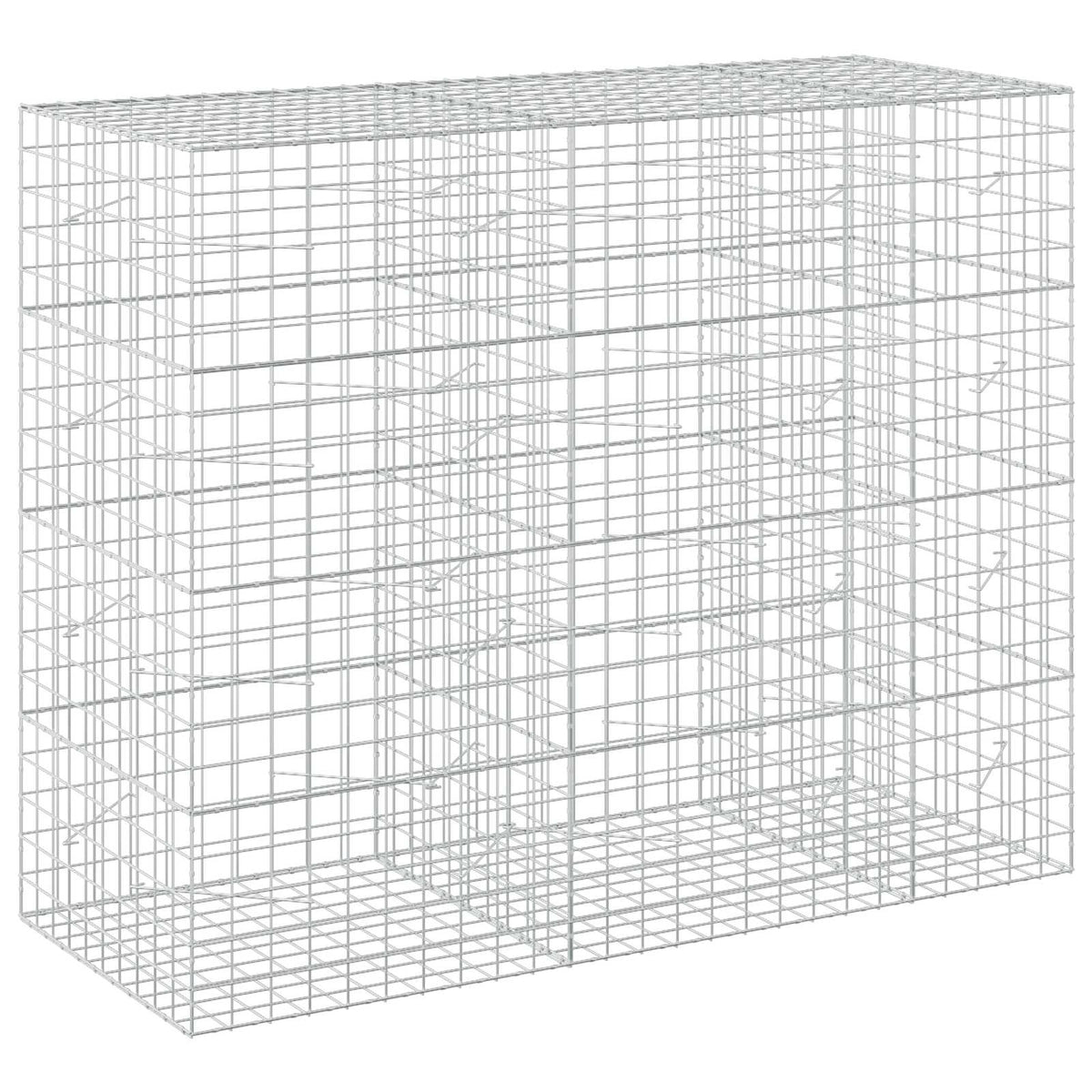 Gabionas su 3,5 mm viela ir 10x10 cm tinkleliu 250x100x200 cm