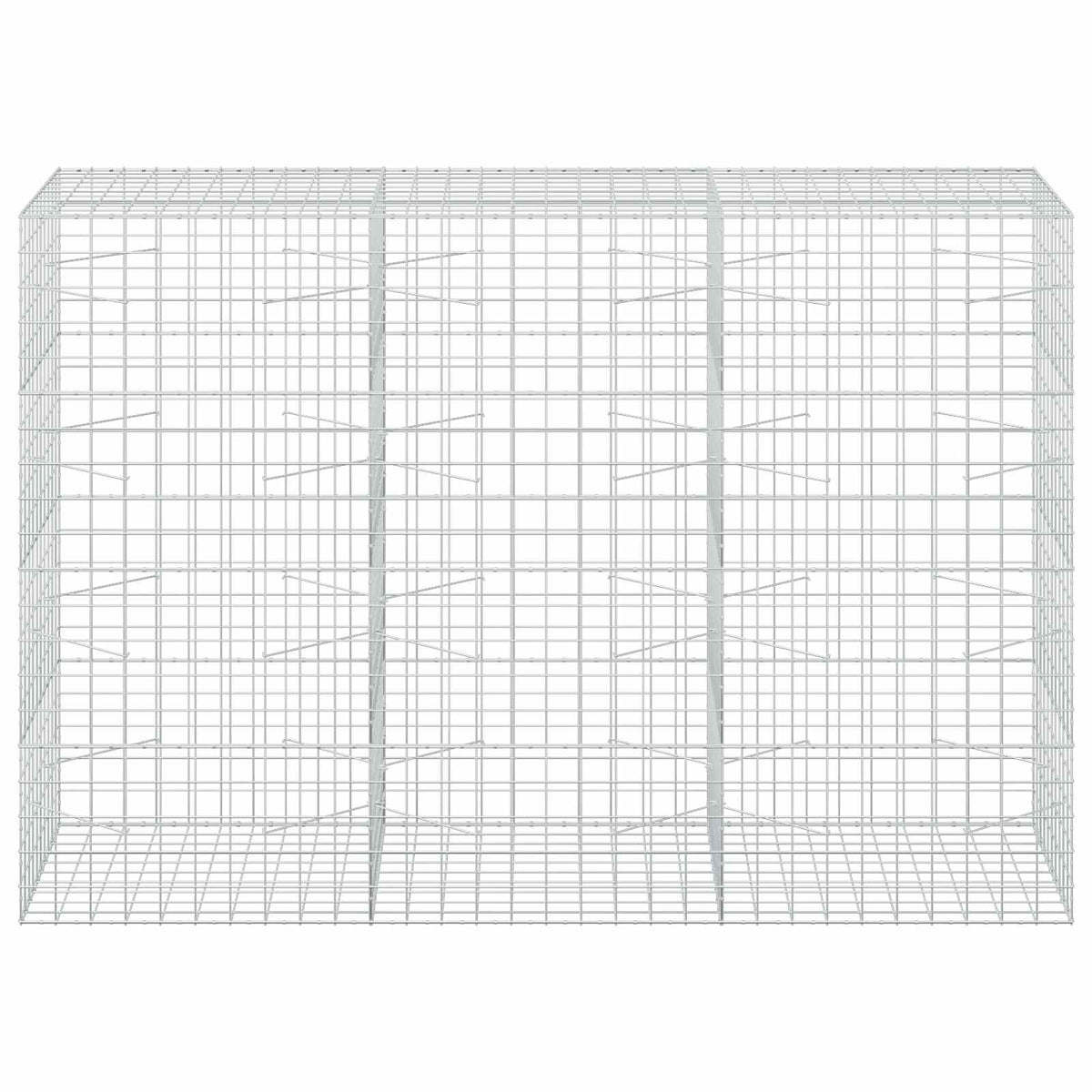 Gabionas su 3,5 mm viela ir 10x10 cm tinkleliu 300x100x200 cm
