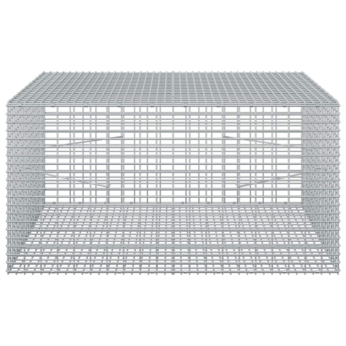 Gabionas su 5 mm viela ir 5x2,5 cm tinkleliu 100x100x50 cm
