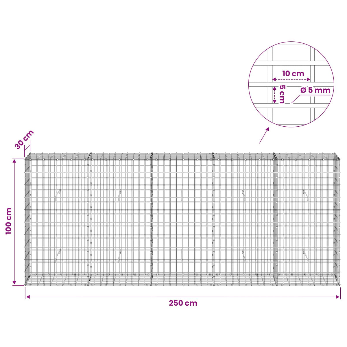 Gabionas su 5 mm Viela ir 5x10 cm Tinkleliu 250x30x100 cm