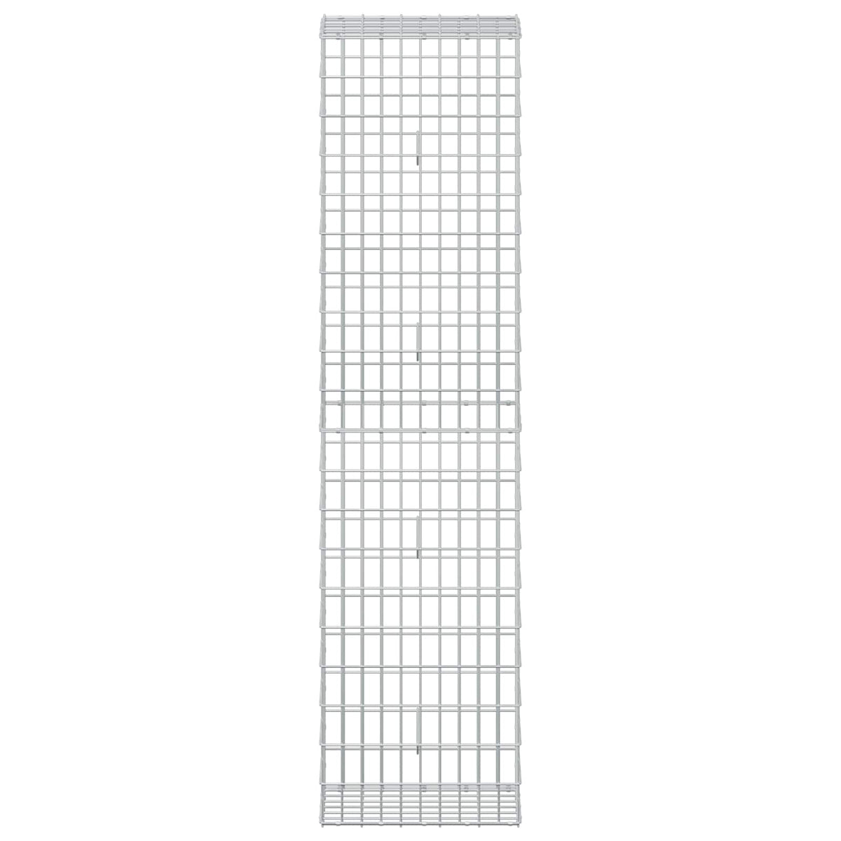 Gabionas su 5 mm Viela ir 5x10 cm Tinkleliu 50x30x200 cm