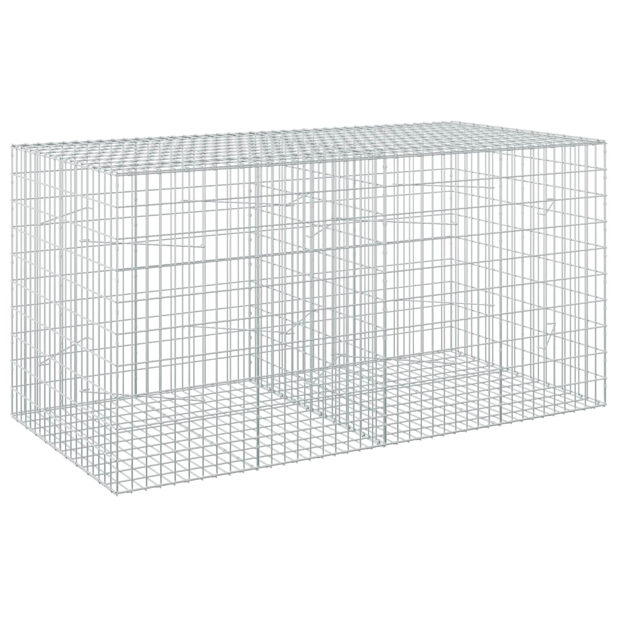 Gabionas su 5 mm Viela ir 5x10 cm Tinkleliu 200x100x100 cm