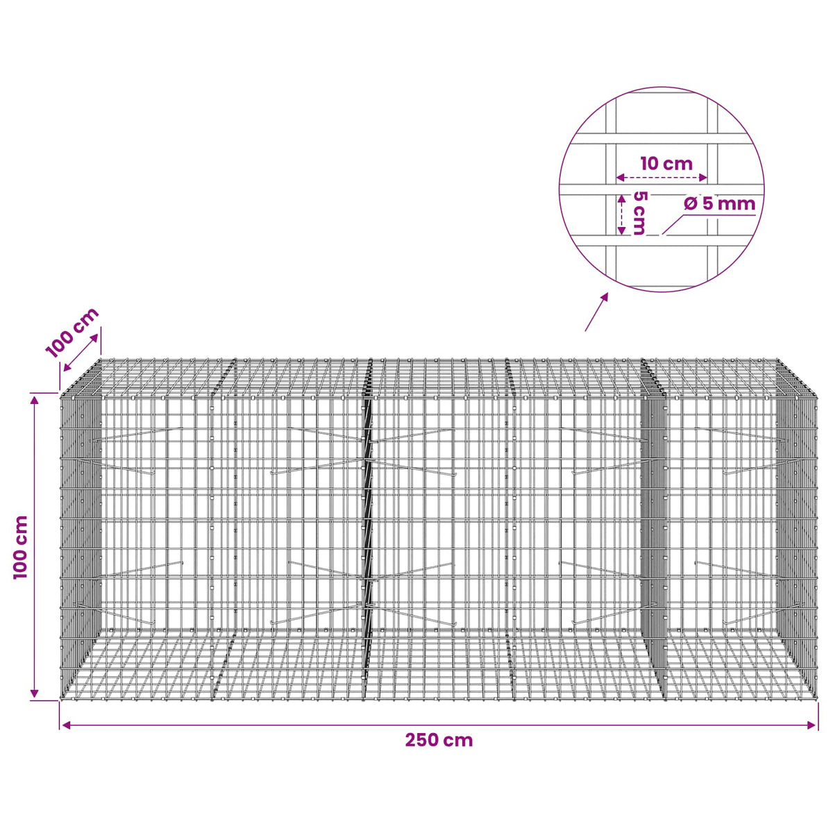 Gabionas su 5 mm Viela ir 5x10 cm Tinkleliu 250x100x100 cm