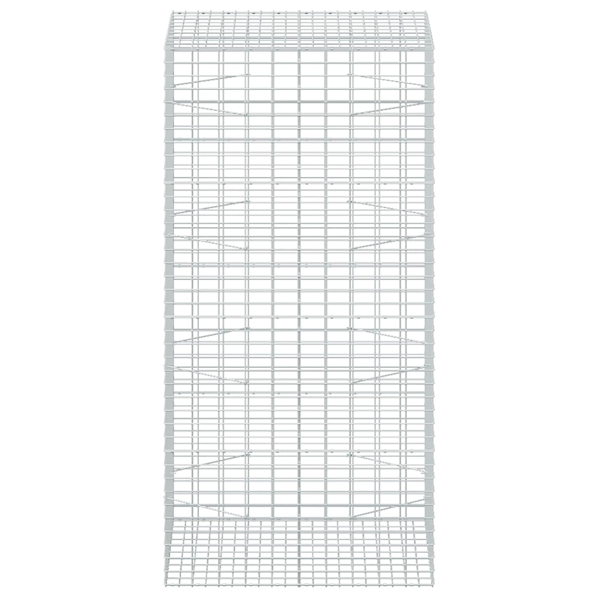 Gabionas su 5 mm viela ir 5x10 cm tinkleliu 100x100x200 cm