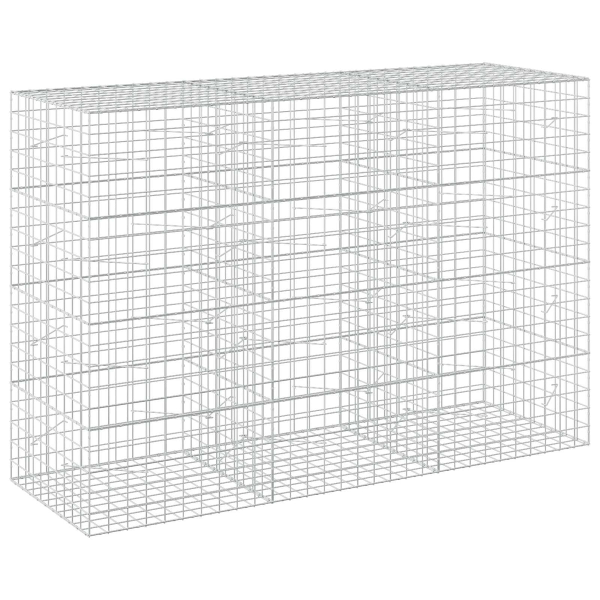 Gabionas su 5 mm viela ir 10x10 cm tinkleliu 300x100x200 cm