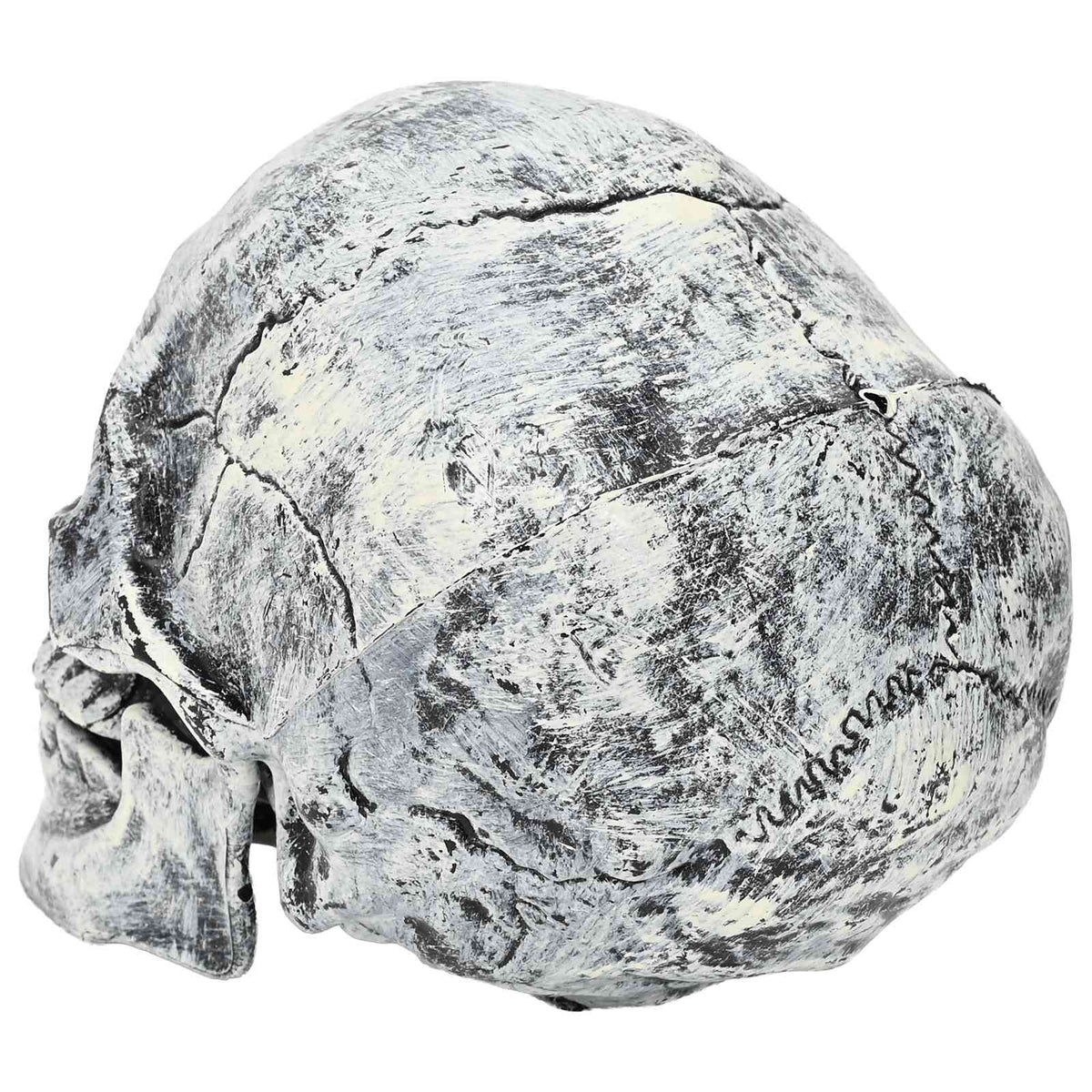 Helovino kaukolė SPOOKA 2 vnt. Balta 12 x 15 x 17,5 cm