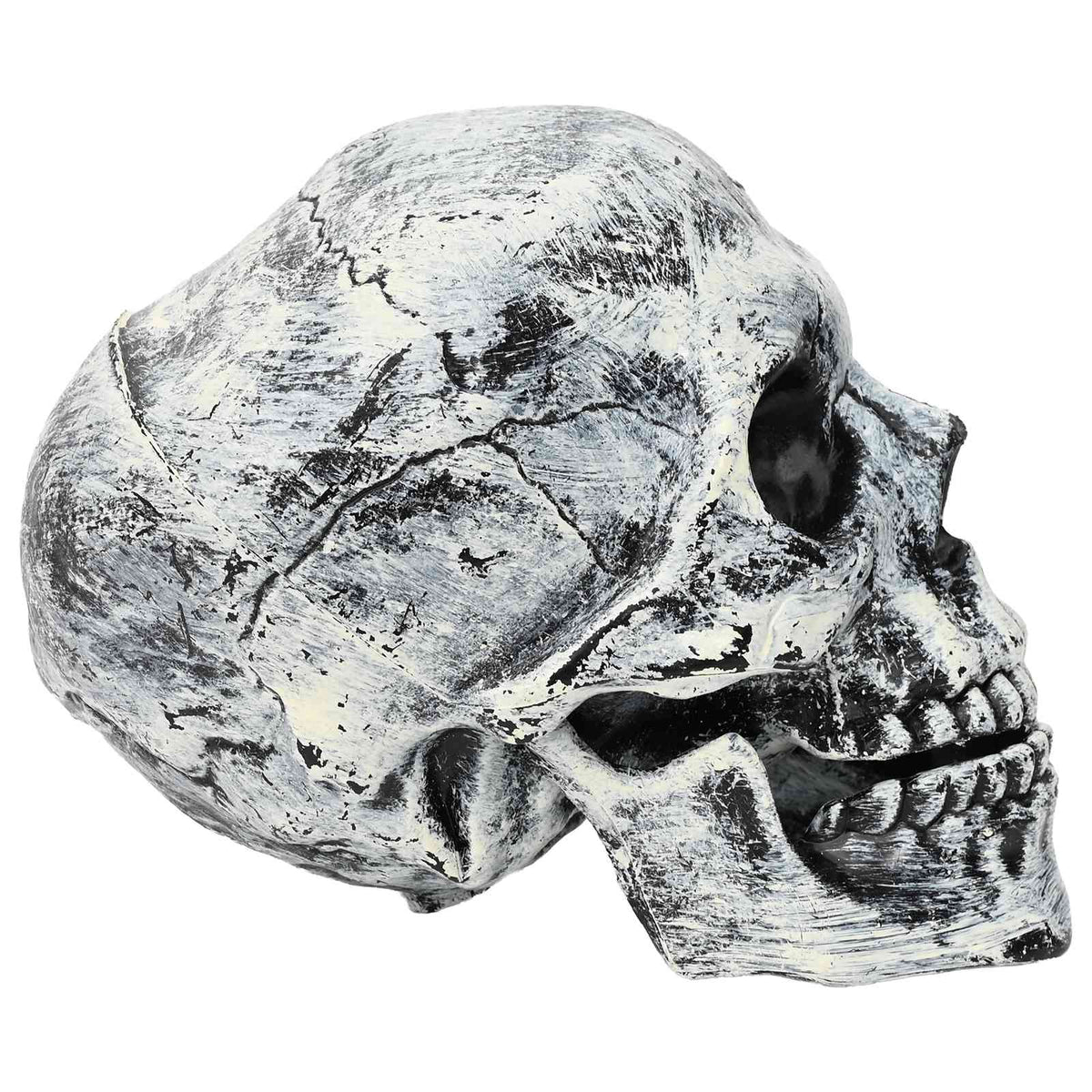 Helovino kaukolė SPOOKA 2 vnt. Balta 12 x 15 x 17,5 cm