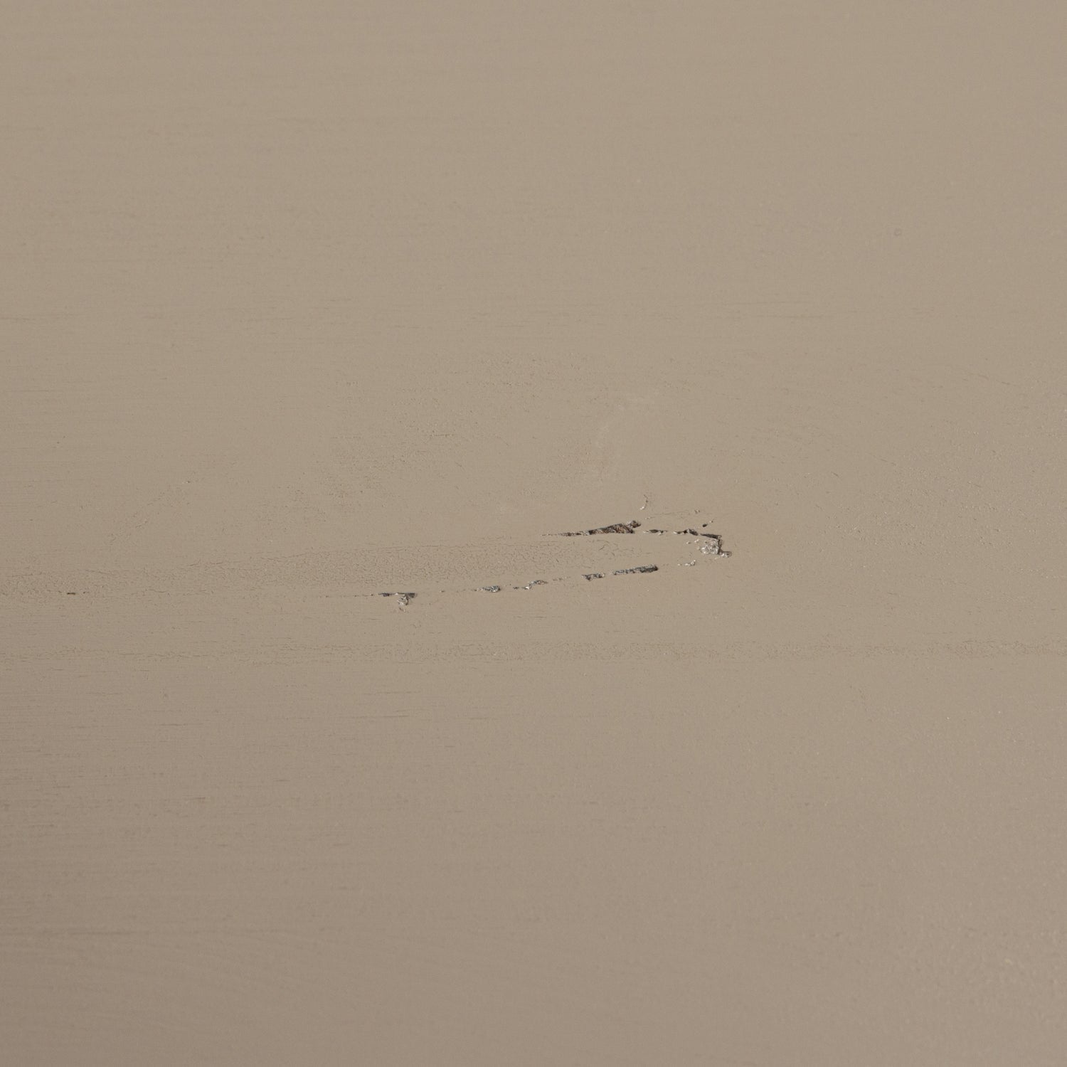 Spintelė DAILY 50×100 cm, šiltai pilka