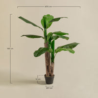 Dirbtinis bananmedis TROPENA, 140 cm