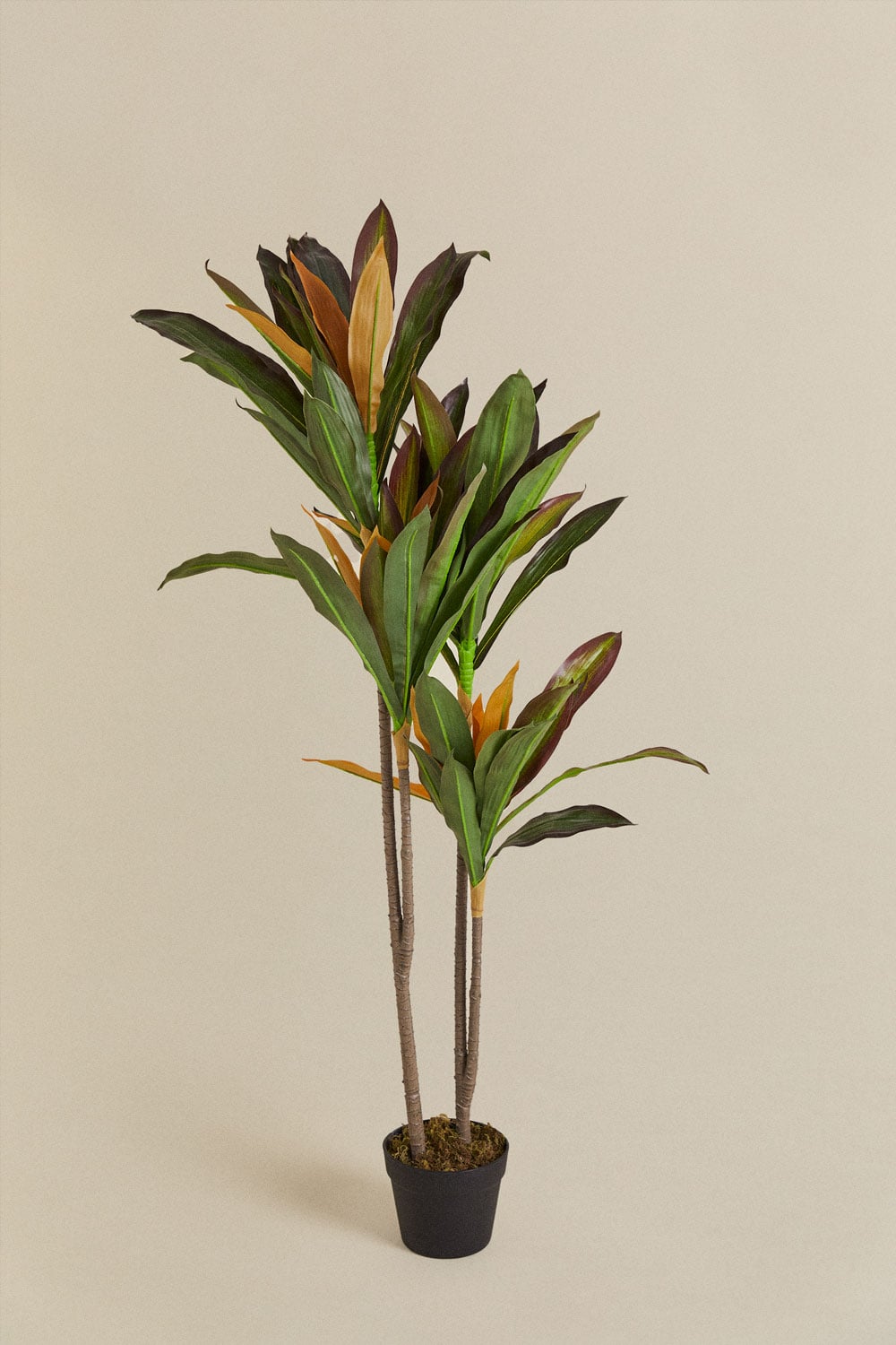 Dirbtinis augalas DRACENA svetainės interjere