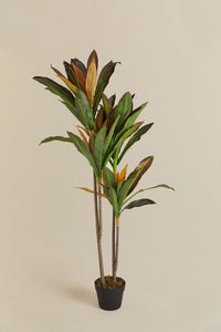 Dirbtinis augalas DRACENA svetainės interjere